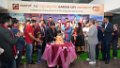 (13)